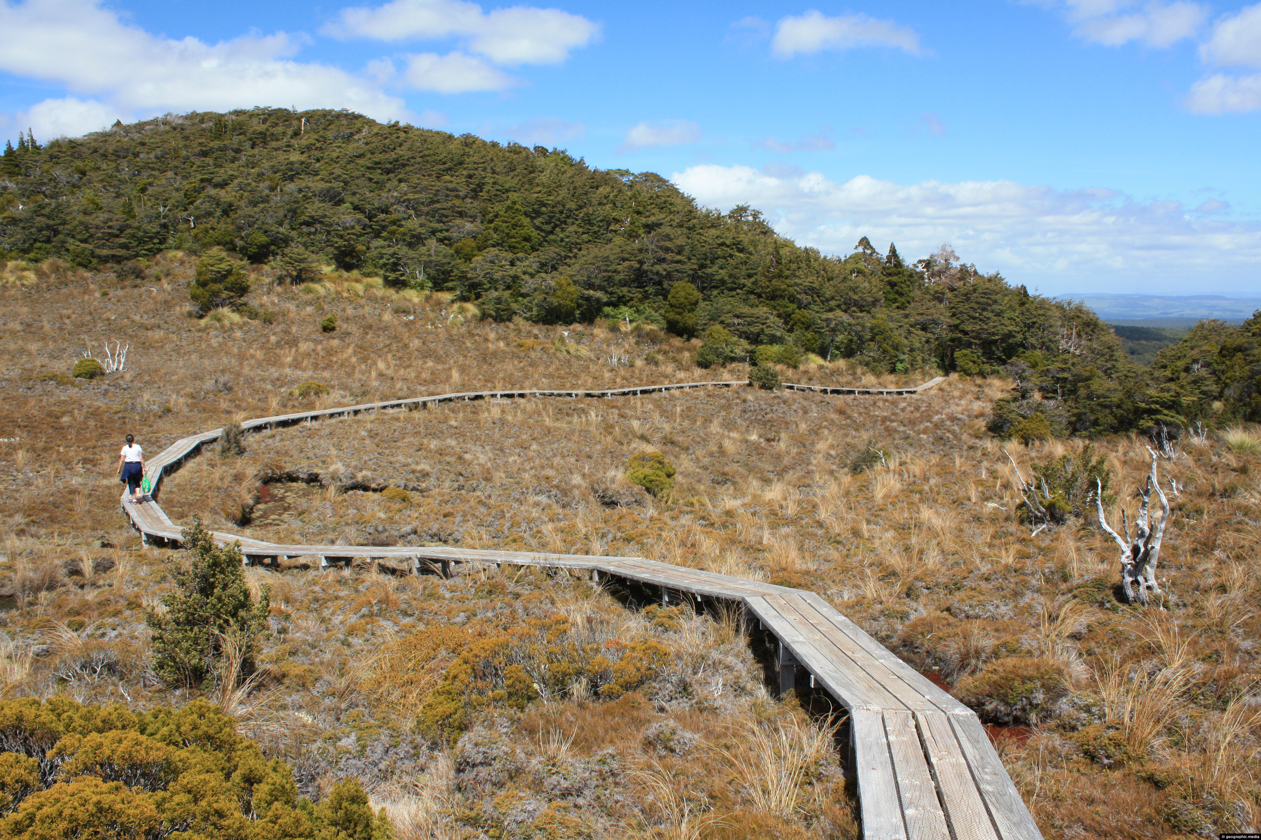 Waitonga Falls Track Mt Ruapehu