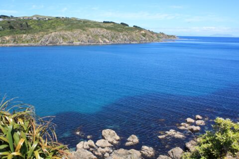 Titahi Bay Porirua