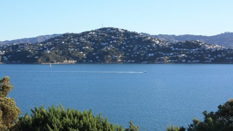 Evans Bay Wellington