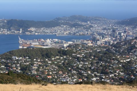Mount Kaukau View