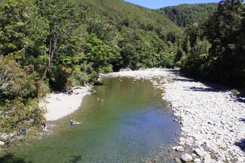 River Swimming in Kaitoke Regional Park