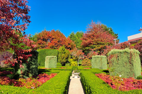 Aston Norwood Gardens in Upper Hutt New Zealand