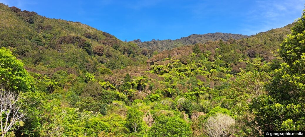 Remutaka Hills Wainuiomata