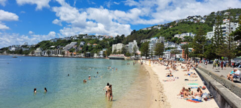 Oriental Bay Beach in Wellington