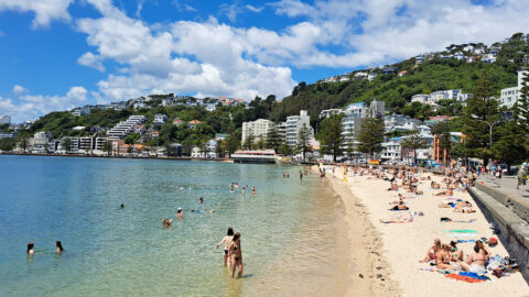 Oriental Bay Beach in Wellington