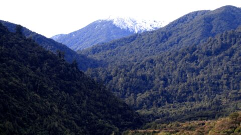Snowy Peak Tararua Mountains