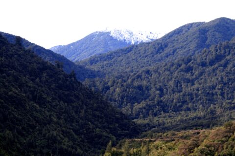 Snowy Peak Tararua Mountains
