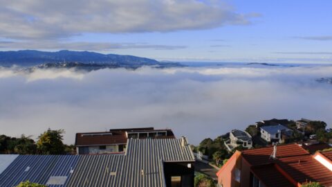 Low Cloud in Wellington