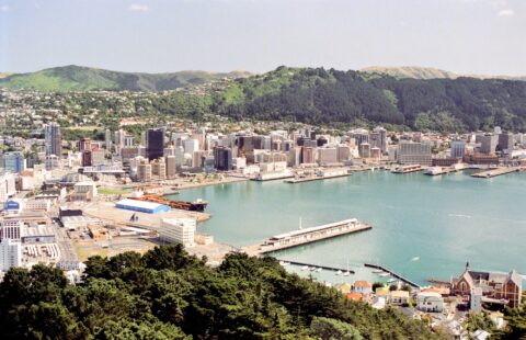 Mount Victoria View of Wellington 1990