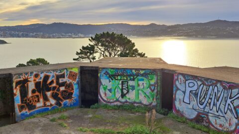 Bunkers & Wellington Harbour