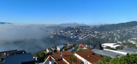Wellington City Fog
