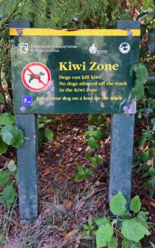 Kiwi Zone Sign