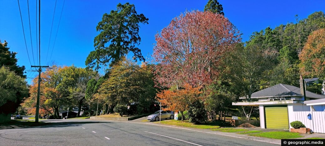 Autumn in Hine Road in Wainuiomata