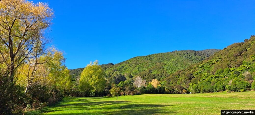 The Meadow in Wainuiomata