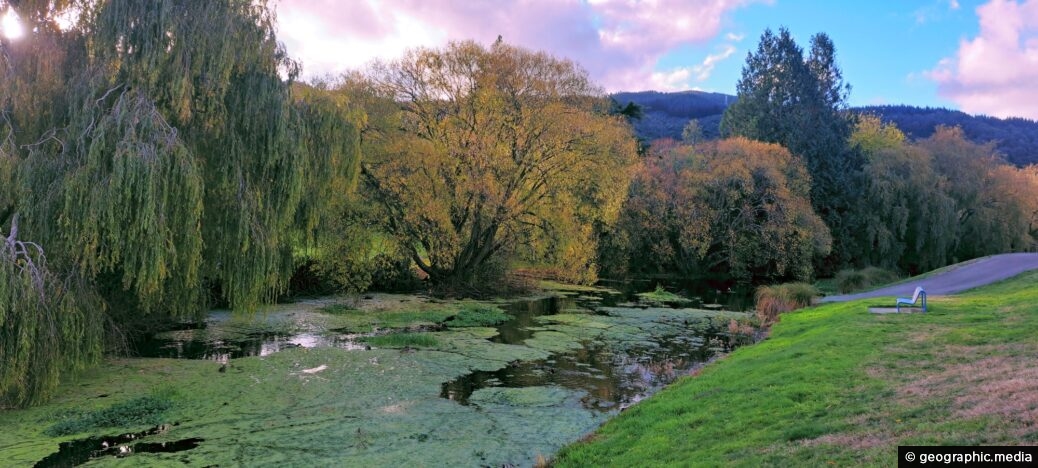 Autumn Colors Heretaunga Park