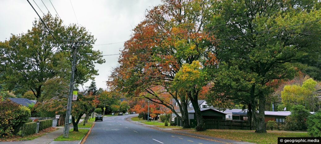Hine Road in Autumn