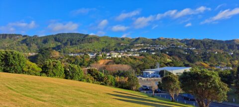 View from Tawa College
