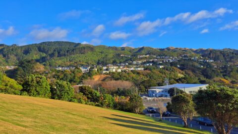 View from Tawa College