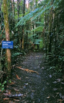 Sledge Track and Kiwi Sign in Wainuiomata