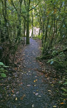 Sledge Track in Wainuiomata