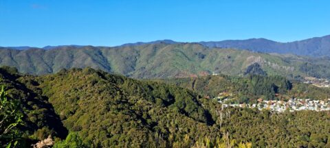 Eastern Hutt Hills & Remutaka