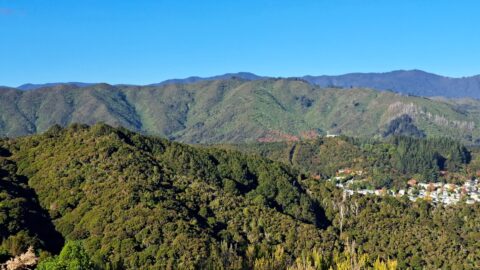 Eastern Hutt Hills & Remutaka