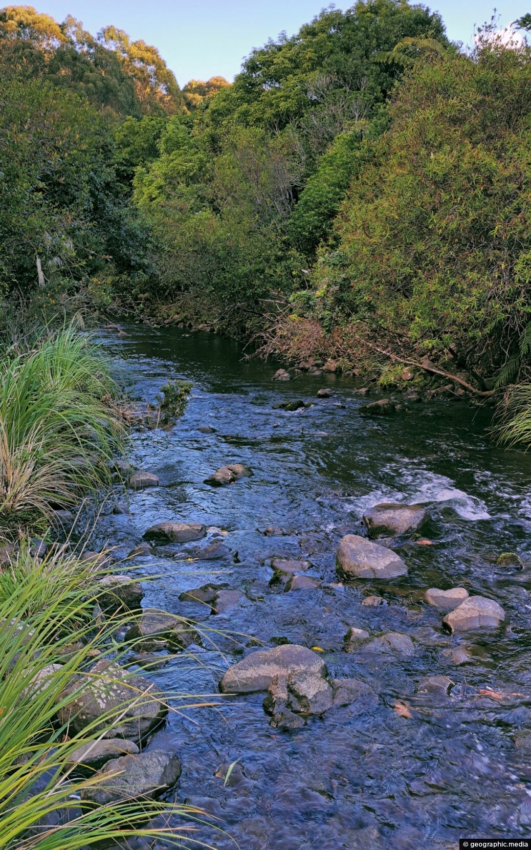 Upstream Wainuiomata River