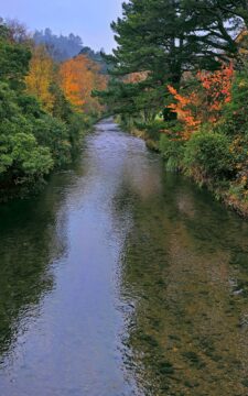 Autumn Colors & Wainuiomata River