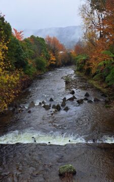 Wainuiomata River in Rotary Park, Wainuiomata