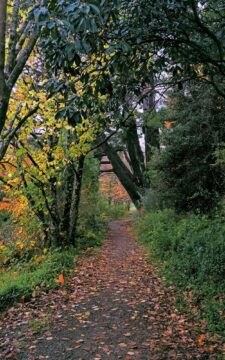 Track in Poole Crescent Reserve