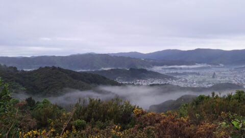 Mist over the Wainuiomata Basin