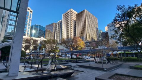 Midland Park in Wellington