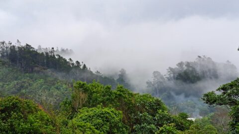 Harry Todd Recreation Area