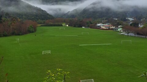 Richard Prouse Park on a Misty Day