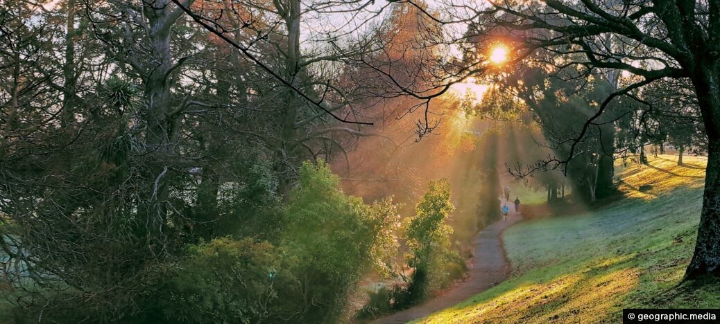 Sunbeams at Trentham Memorial Park in Upper Hutt