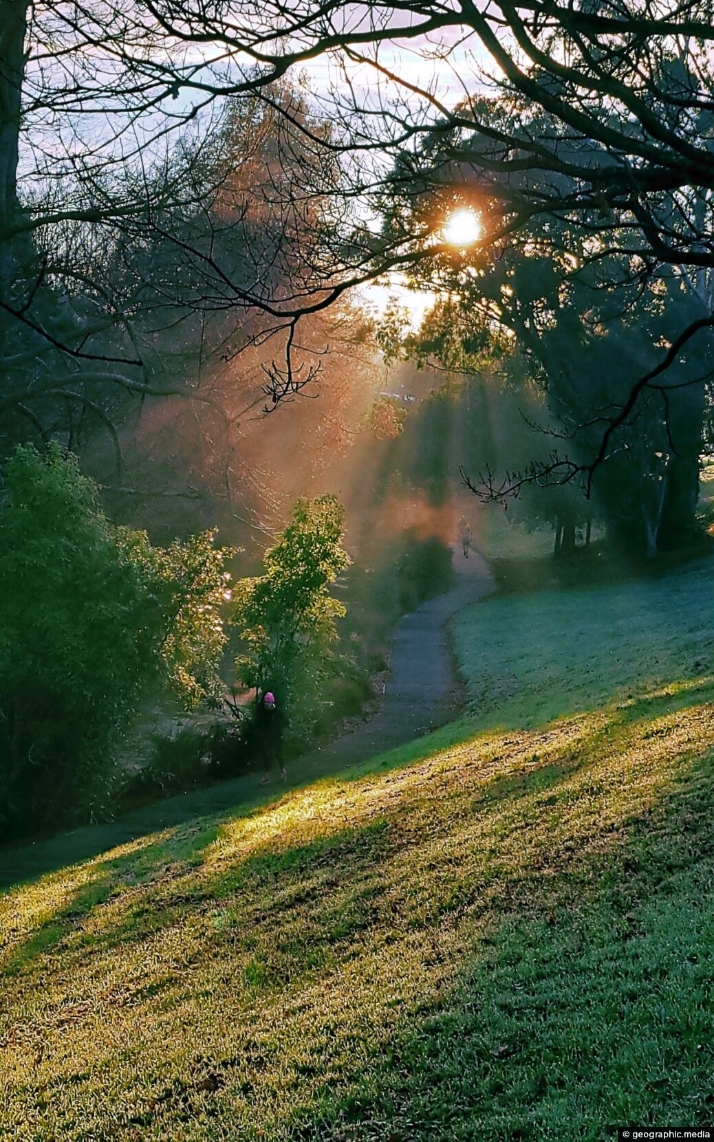 Crepuscular Rays at Trentham Memorial Park