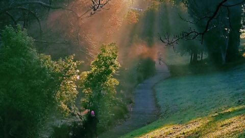 Crepuscular Rays at Trentham Memorial Park