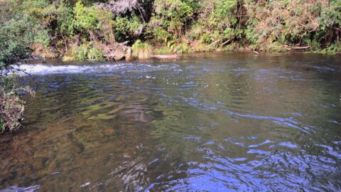 Sledge Pool in Wainuiomata River