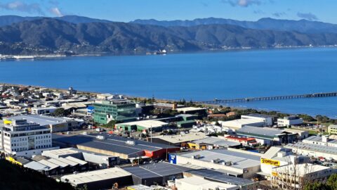 Petone CBD & Wellington Harbour