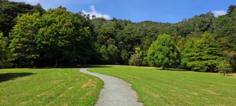 Maidstone Park Walks