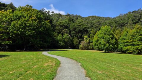 Maidstone Park Walks