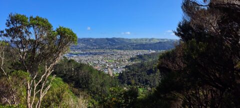 View from Naenae Hills