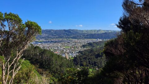 View from Naenae Hills