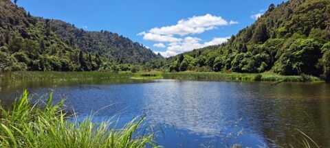 Waterworks Wetland