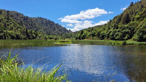 Waterworks Wetland