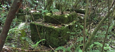 Remains of a Power Generator