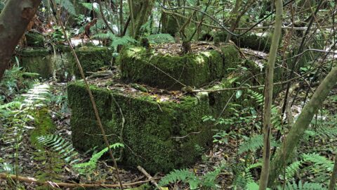 Remains of a Power Generator