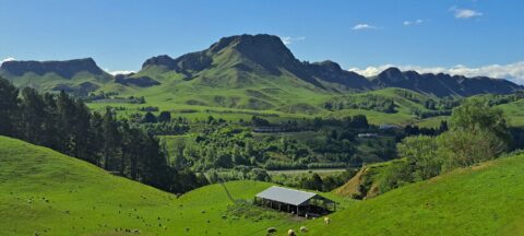 Te Mata Peak from Mt Erin Lookout