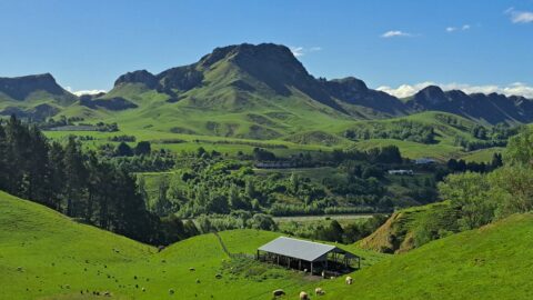 Te Mata Peak from Mt Erin Lookout