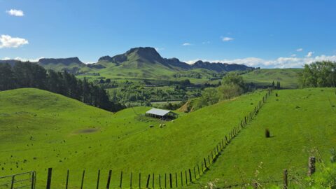 Farmland and Te Mata Peak